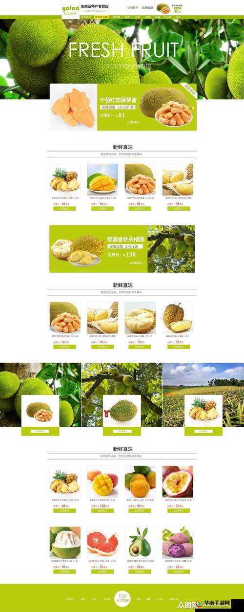 榴莲草莓芒果菠萝香蕉幸福宝:甜蜜水果大集合