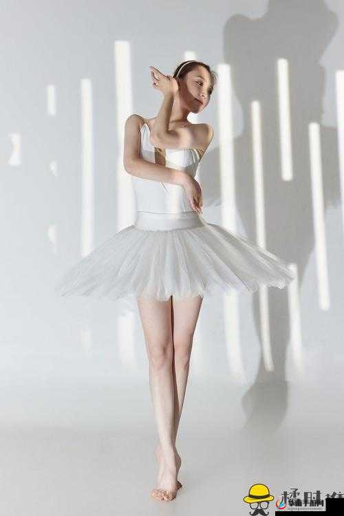 老狼卡二卡三卡四卡二：神秘的组合