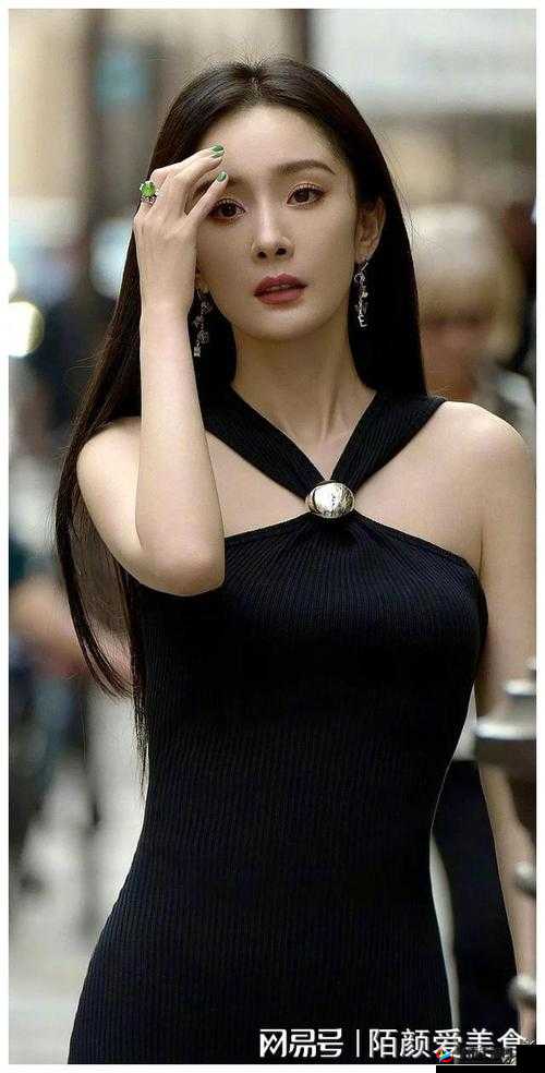 中国明星aaSs 欣赏：魅力无限的演艺风采