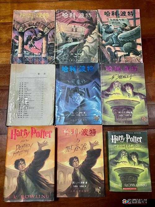 外国兽皇的奇妙冒险:勇闯魔法世界