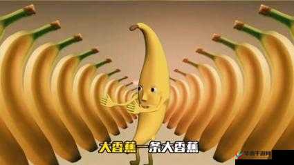 爱丝阁大香蕉：美味与健康的完美结合