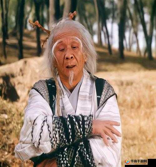 天机老人的飞刀传奇：武林巅峰的智慧与武艺探寻