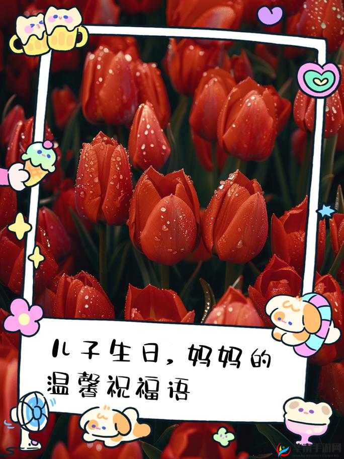 海角妈妈过生日:温馨时刻的到来