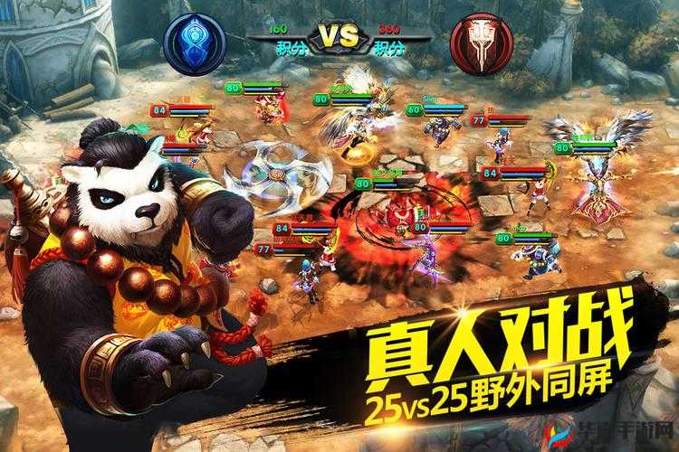 全民狂战太极熊猫,实时激爽斗乱战