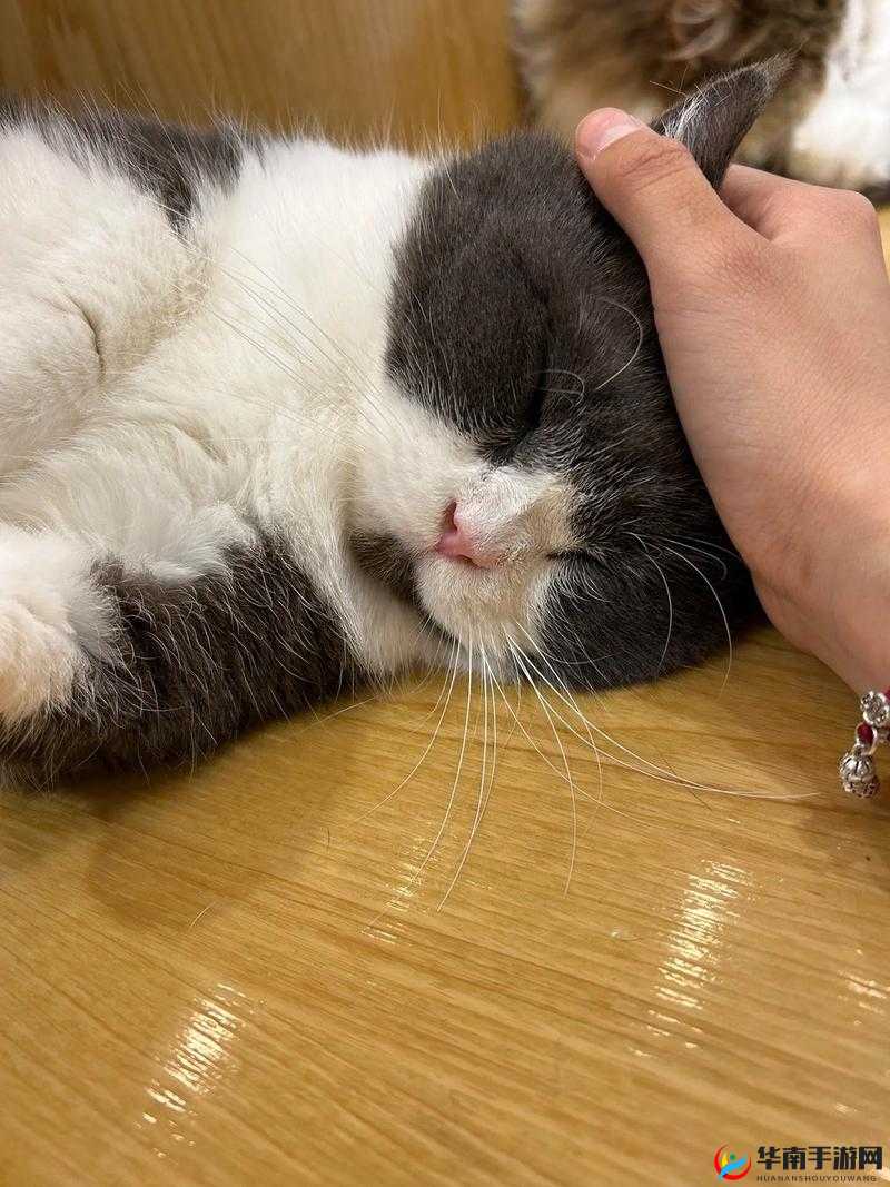 啊撸灵魂石详解:属性获取与合成攻略