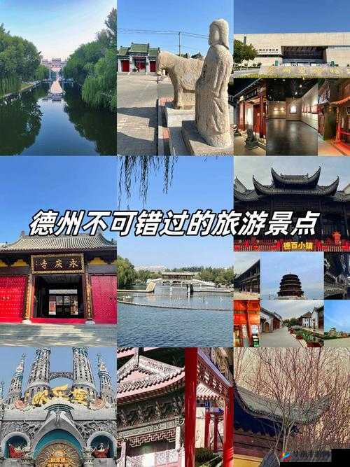 舔阴大赛：性文化的独特展示