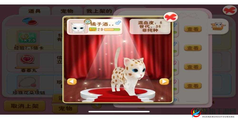 《晴天小猫》伴侣玩家必备攻略：逐层解锁的小猫世界冒险指南》
