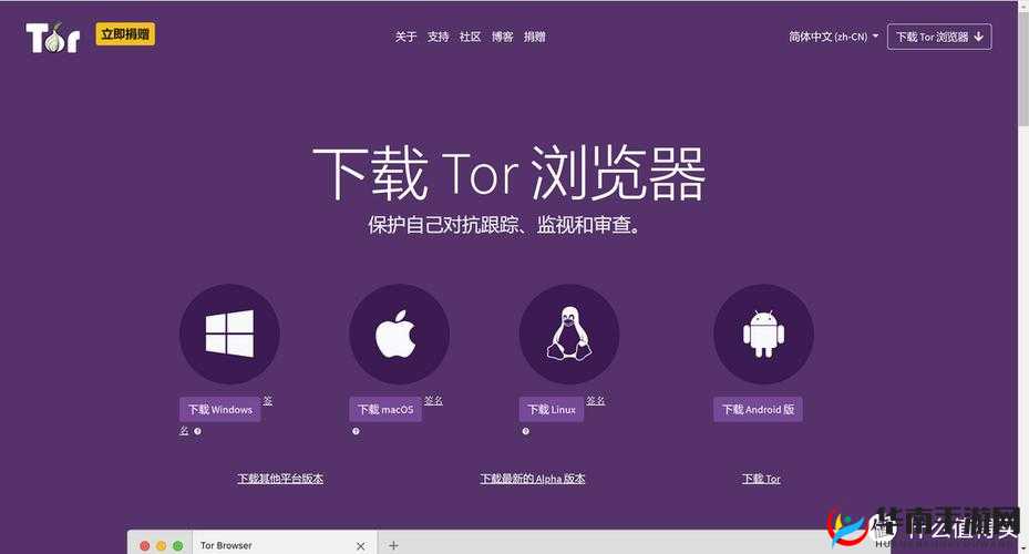 免费外国网站浏览器推荐：实用之选