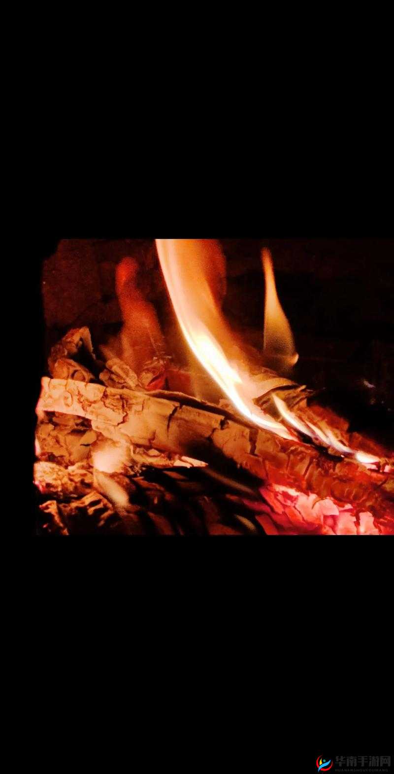 我叫 MT4 公会篝火答题视频攻略：详解篝火奖励