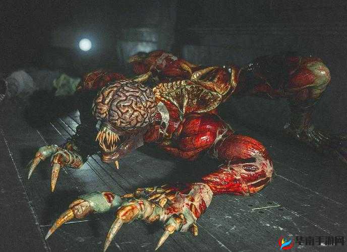 《全球反恐：运输船危机揭秘攻略》