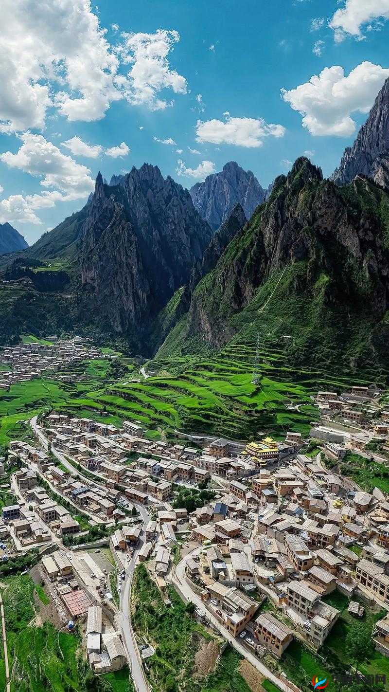 伊甸园一卡二卡：探索爱的秘境