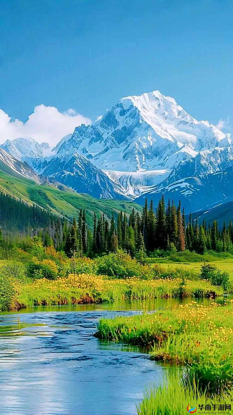 新疆 xxx69：探索其独特魅力与价值