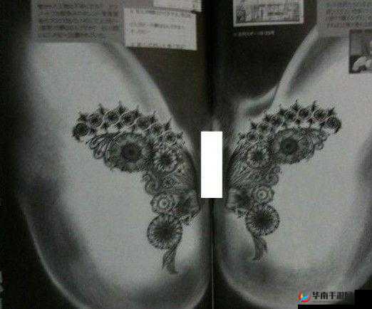 黄色 AV 足交软件:探索私密领域的工具