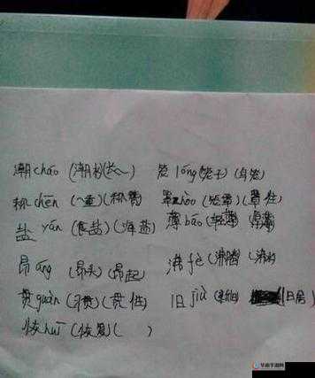 荡货夹的这么紧欠 C 调教视频：探索性癖好的新视角