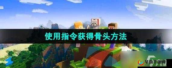 《晴天小狗赚钱攻略:全面解析如何高效获取骨头方法》