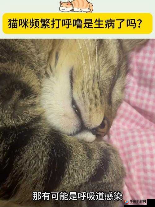 跟踪费爵娜：探寻其神秘踪迹