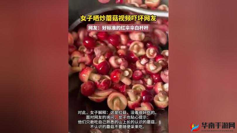 老师插爽爆蘑菇视频：极致体验震撼来袭
