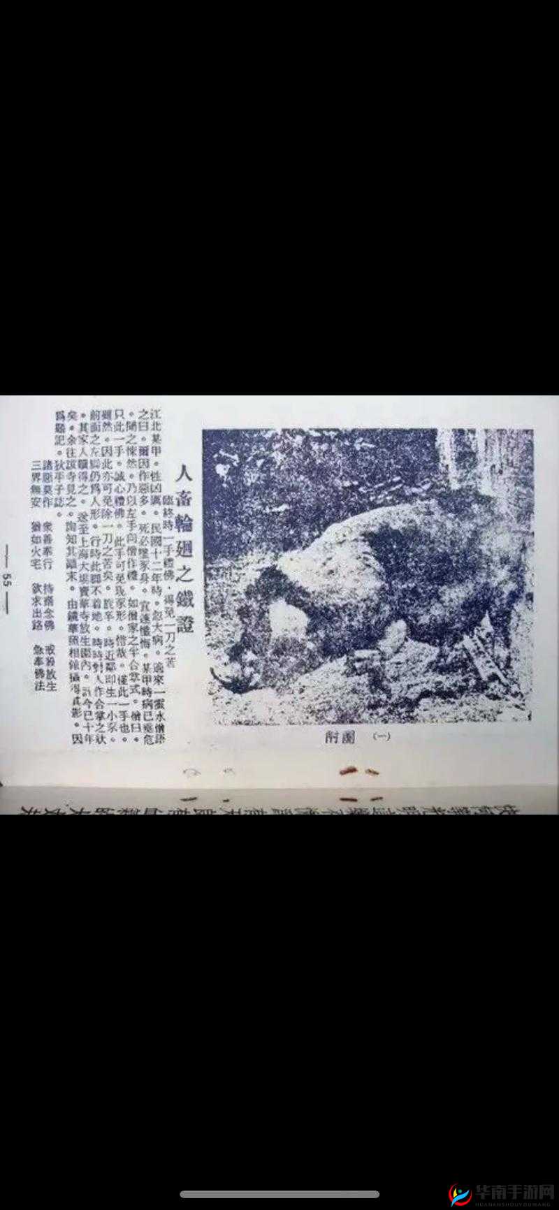 国产人畜交相关内容不适合宣扬和传播