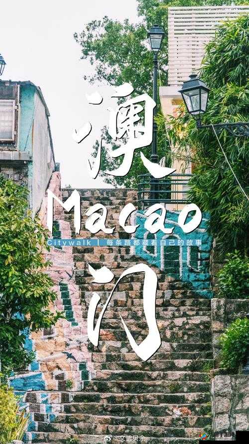 中日韩一级片:跨越文化的激情之旅