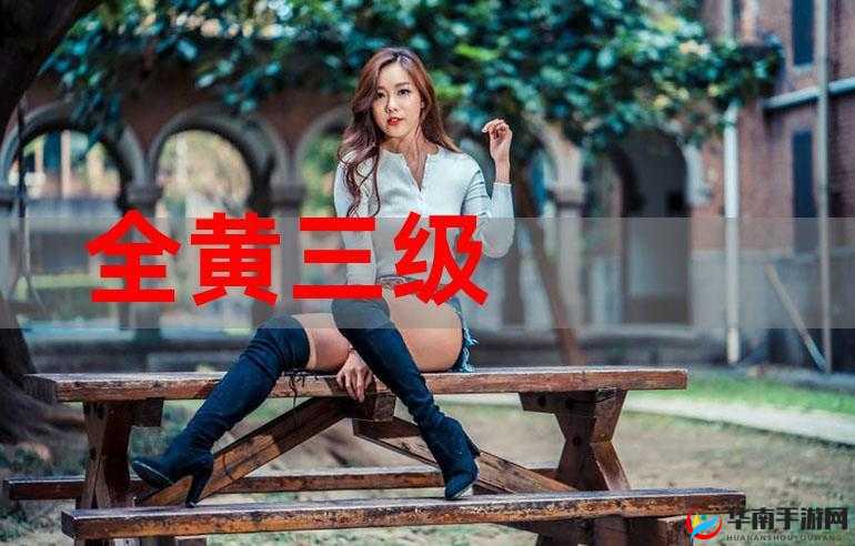 三级特黄：成人内容，不宜公开