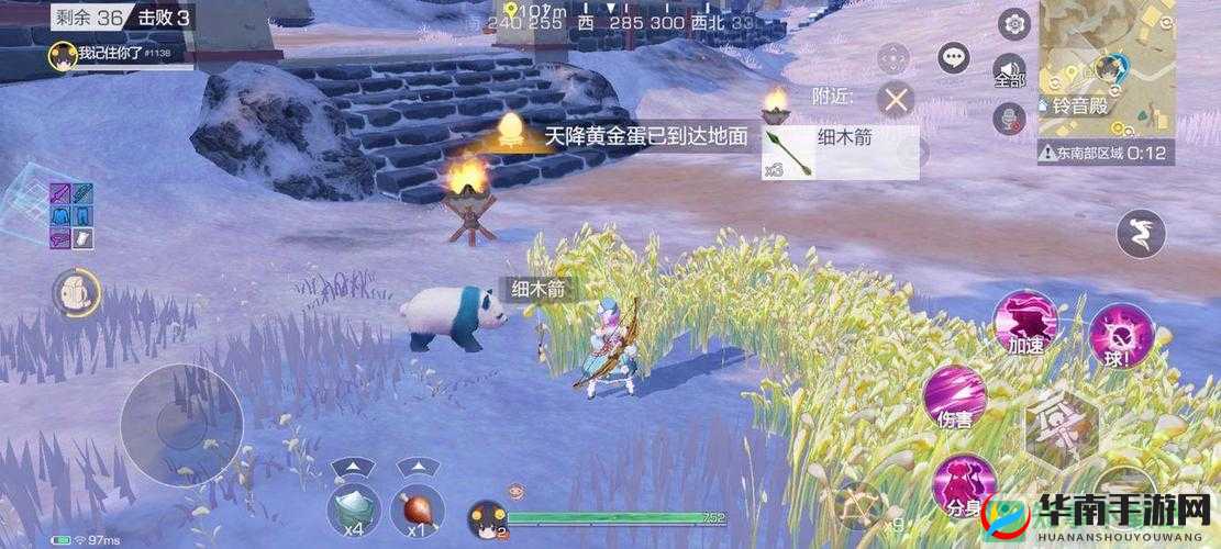 风云岛行动中各类动物的神奇作用全揭秘