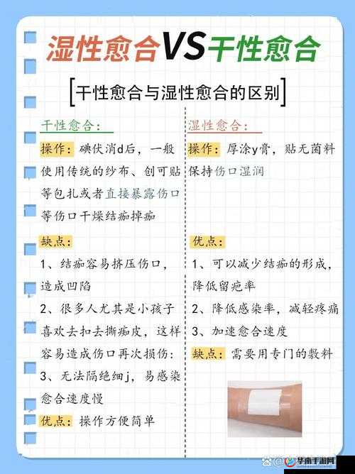 狠狠干性之深度解析