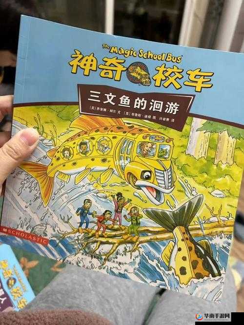 海角小马大车的奇妙旅程