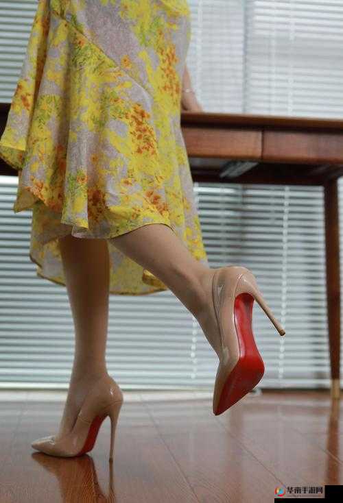 高跟儿xxxxHD:时尚魅力新呈现