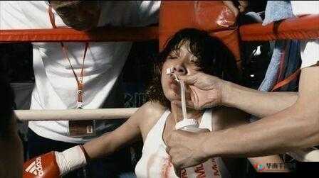 黄色毛片人与兽相关内容不适合宣扬和传播