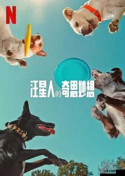 《寻找超脱力医院里的间谍之王：汪星人间谍位置揭秘》