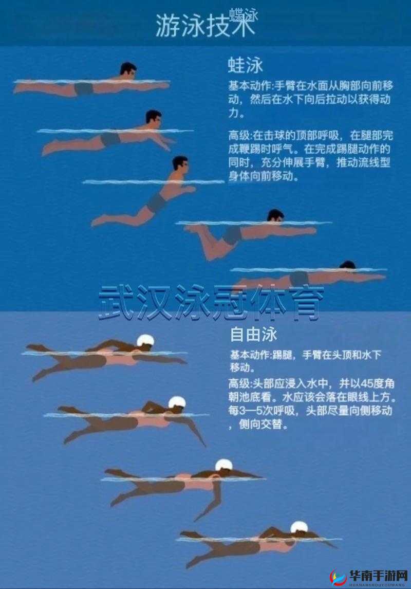 游泳教练 pop11h：掌握水中技巧的秘诀