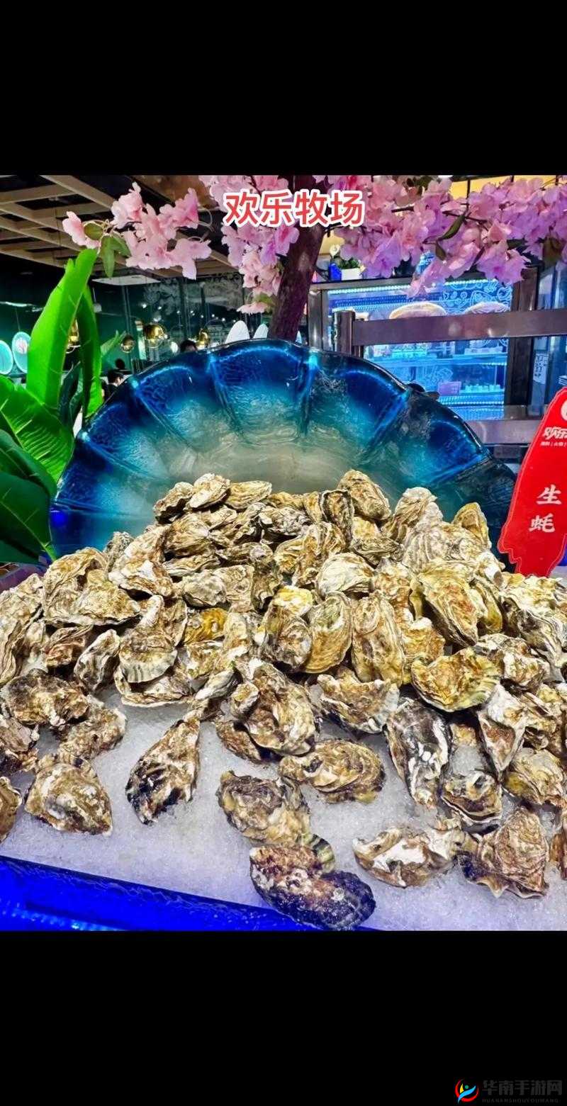 Zoom26 牧场：自然与欢乐的家园