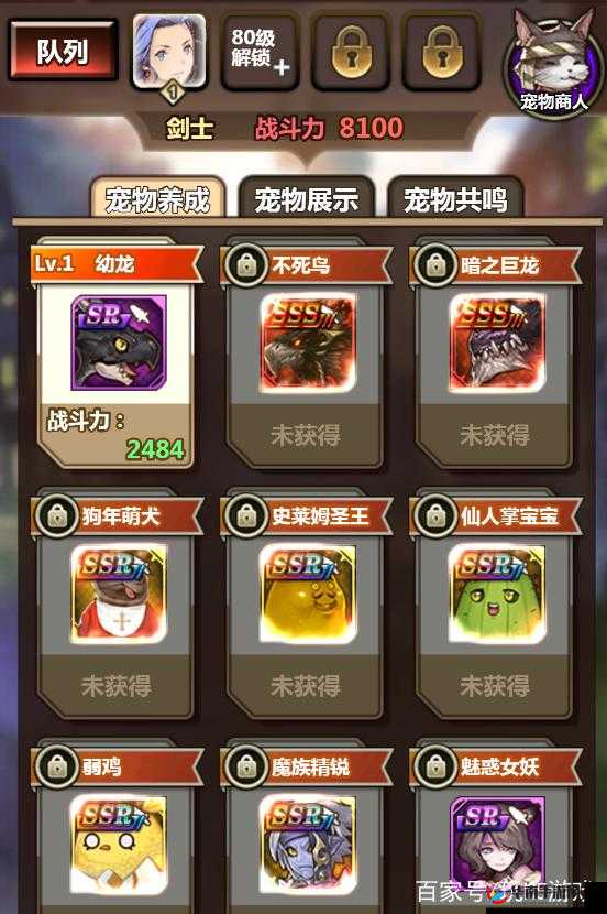 绯雨骑士团新手入门必备技巧大揭秘 助你快速成长