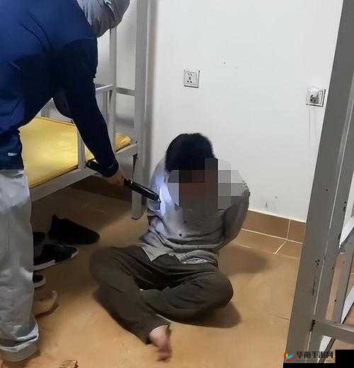 缅甸北部血腥网站2024黑网：警惕其危害