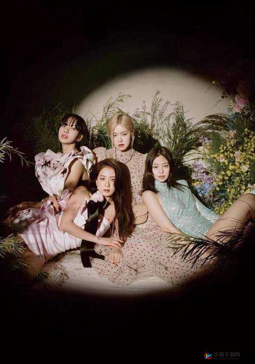 欧美疯狂追捧的 BLACKPINK 成员