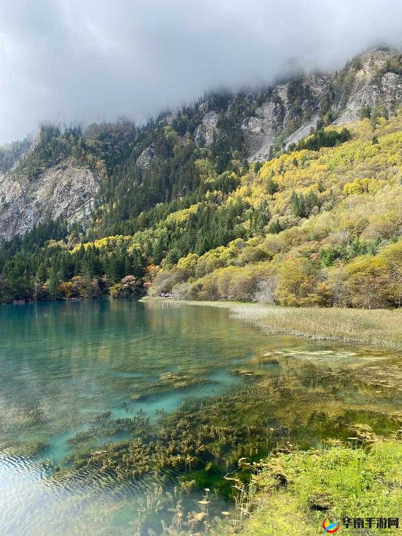 海角社区深夜秘入口：神秘之地待探索