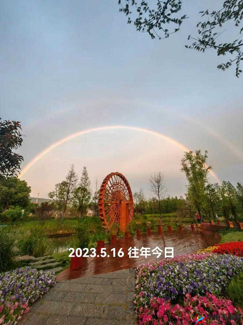 翻雨覆雨的一上一下：令人沉醉的奇妙体验