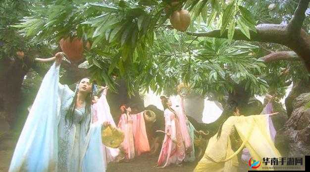 仙尊玩家蟠桃次数为何固定为十次 其中缘由引人深思亟待揭秘
