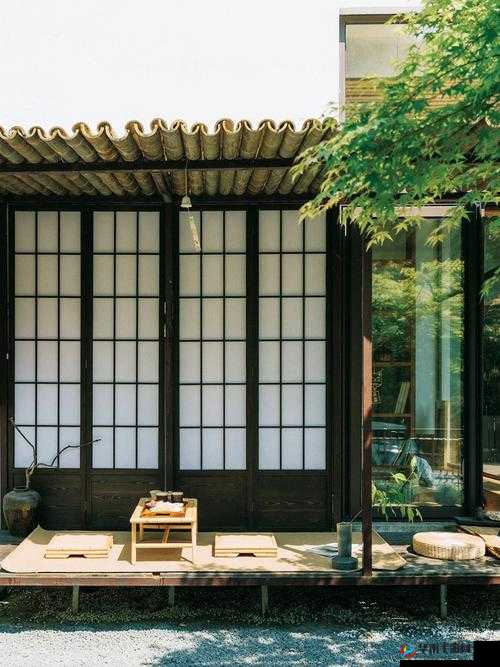 使紧 快点 别停 舒服学长：激情与舒适的碰撞