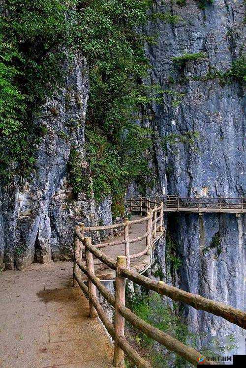 幽谷花径内阻力减小：前方或是通途