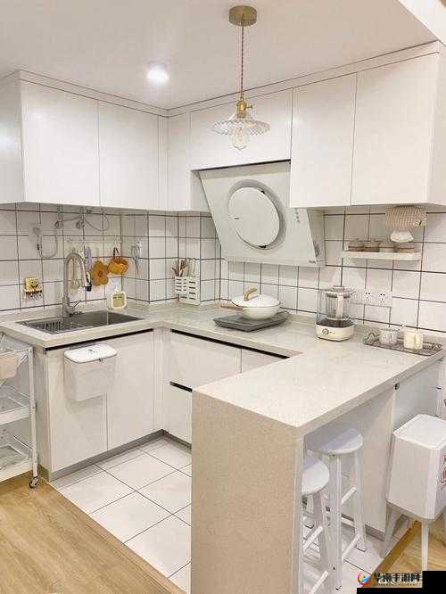 疯狂厨房 2 双人模式新手教程：轻松上手，快乐烹饪