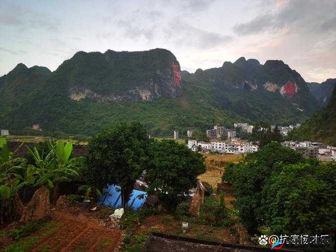 欧美仰深喉口爆极致体验