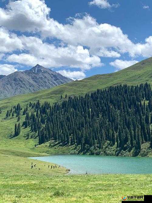 新疆av：揭开神秘面纱