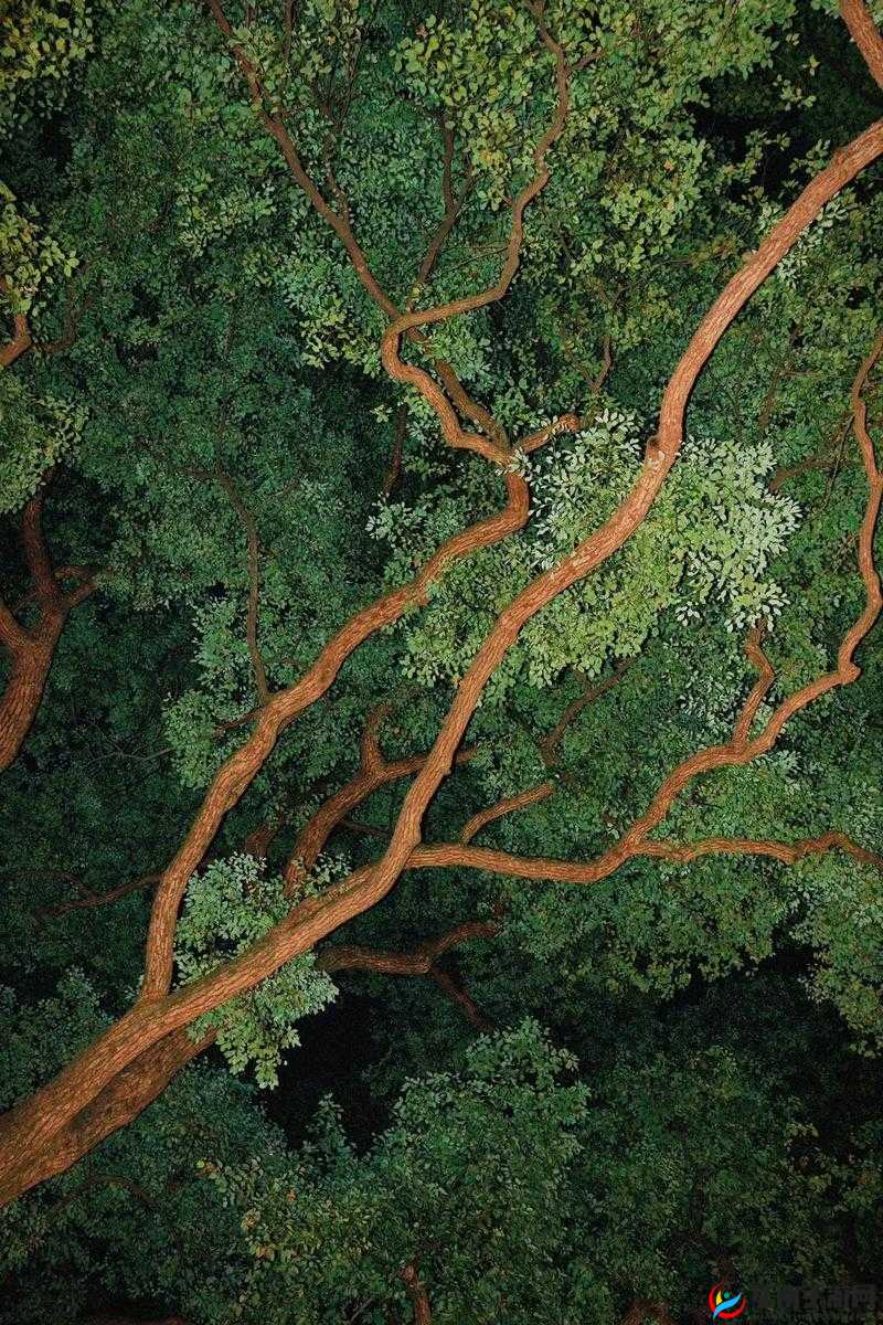 没有二哈如何速刷地狱边境隐藏 51 层撒旦之子