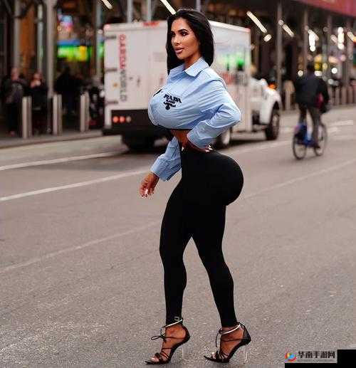 欧美肥 Bw 的独特魅力与风采