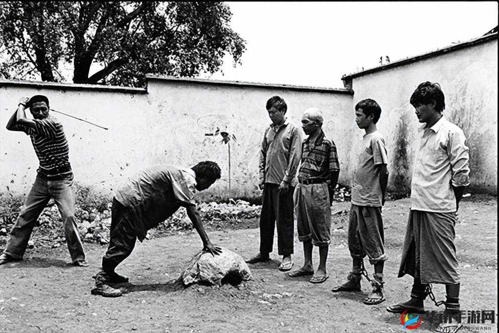 缅甸北部恐怖血腥网站 www 软件：真实揭秘与警示