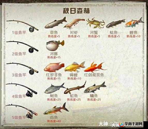 明日之后：抓鱼攻略大揭秘