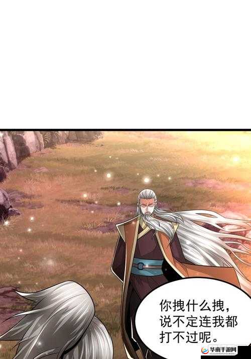 《挂挂国：武道巅峰的荣耀之战》