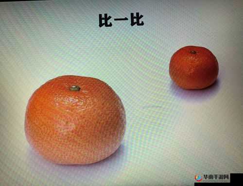 小橘子和大橘子，谁是你的最爱？