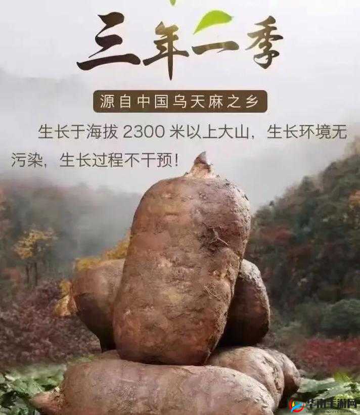 91 制作天麻传媒免费入口：优质资源分享平台